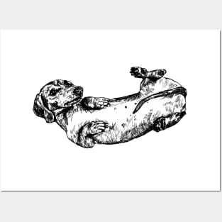 Cute Dachshund Sausage Dog Illustration Posters and Art